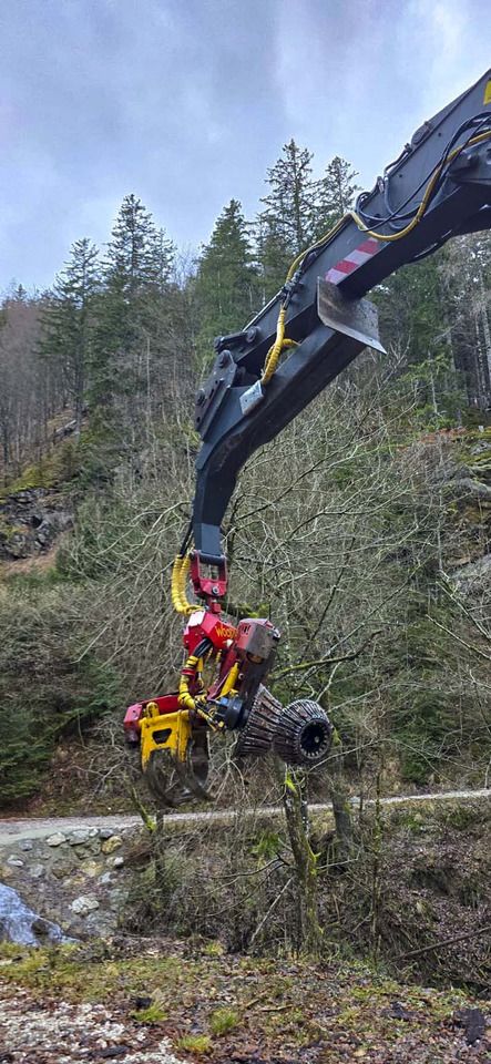 2005 Volvo EC210BNLC crawler excavator forestry attachment detail 2005 Volvo EC210BNLC crawler excavator forestry attachment detail