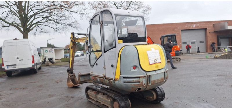 2010 Wacker Neuson 2503-WD mini excavator, rear three-quarter view