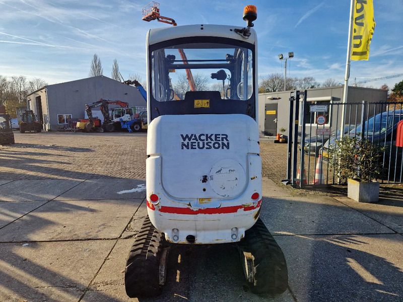2011 Wacker Neuson 2404RD mini excavator, rear view