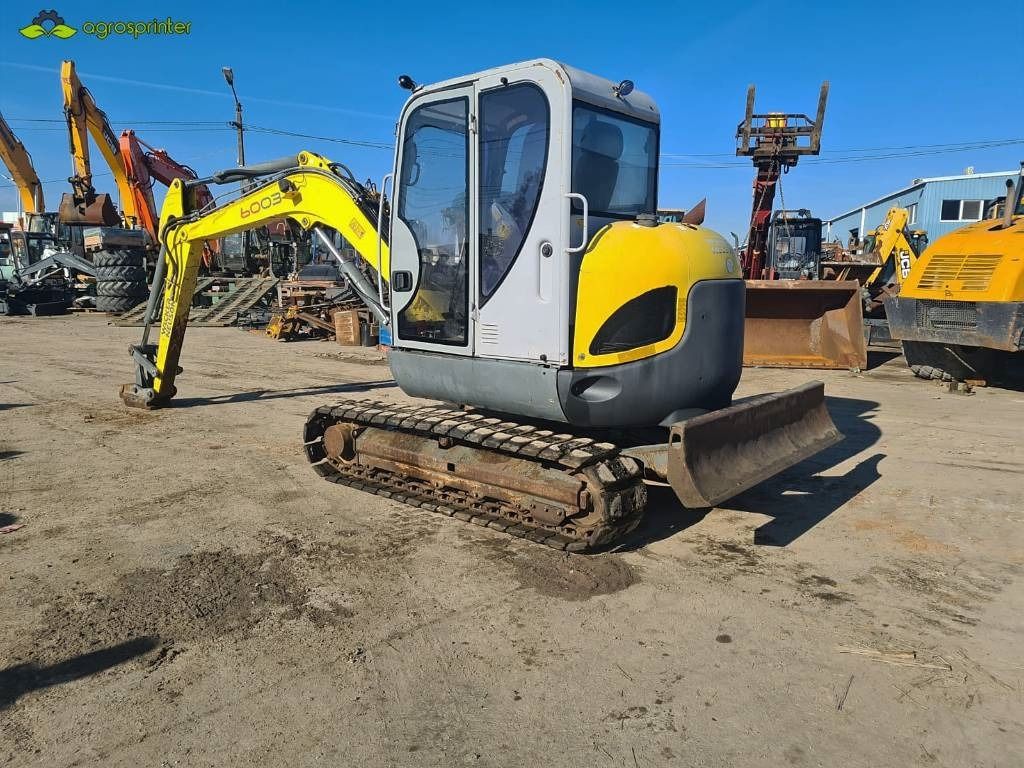 2009 Wacker Neuson 6003 mini excavator, rear three-quarter view 2009 Wacker Neuson 6003 mini excavator, rear three-quarter view