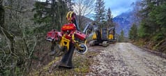 2005 Volvo EC210BNLC crawler excavator with forestry attachment 2005 Volvo EC210BNLC crawler excavator with forestry attachment