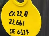 2023 CASE CX 22 D mini excavator identification tag