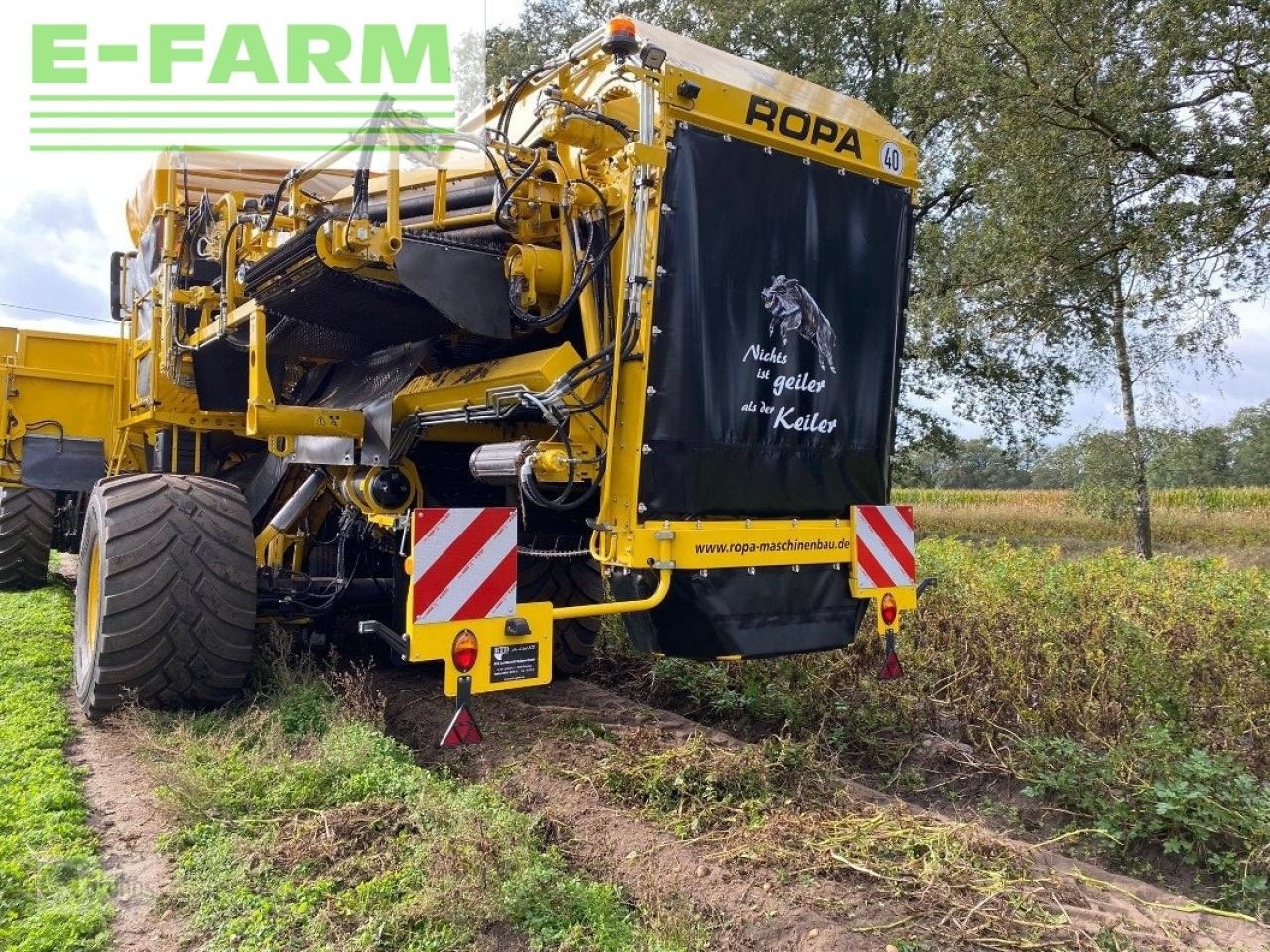 Potato harvester Ropa keiler ii