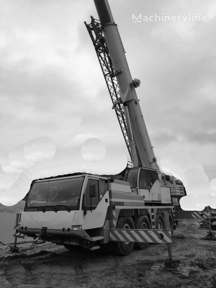 Mobile crane Liebherr LTM1060-2